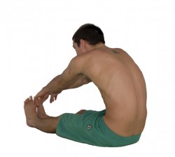 Forward-bends-can-be-harmful-to-your-body-250x225