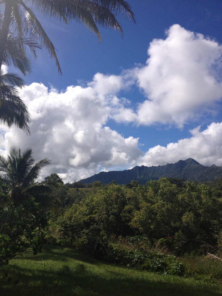 The view from the backyard never got old.