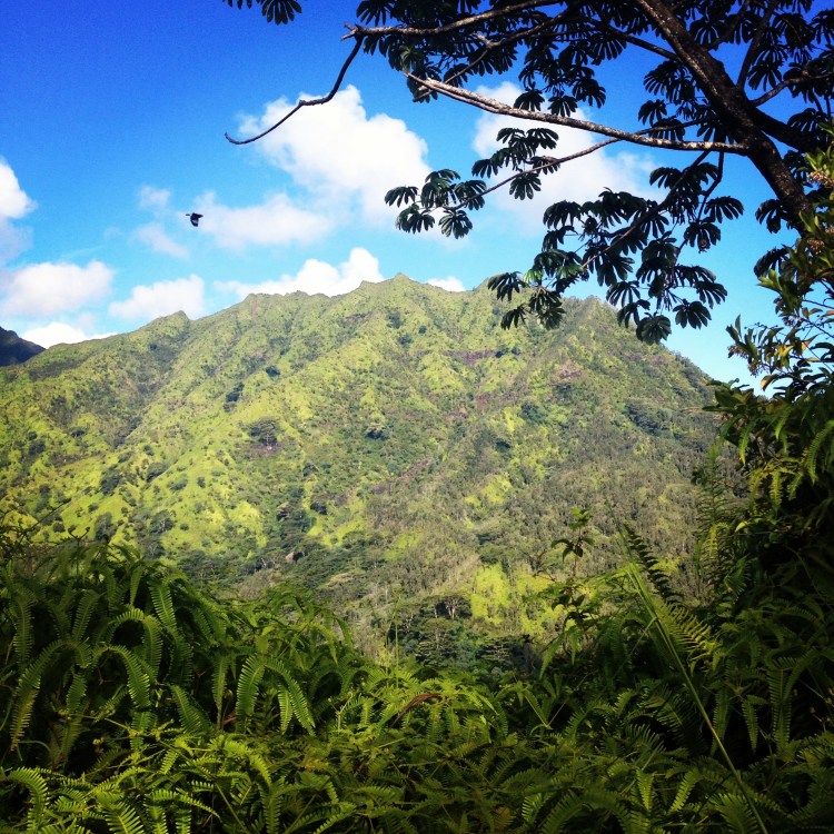 View from a hike above the house.