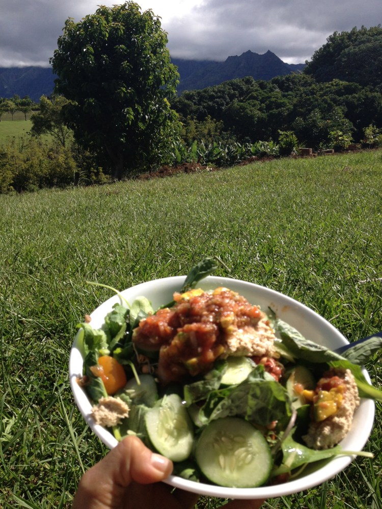 Daily greens with equally vibrant views were a part of the wellness routine at Manayoga.