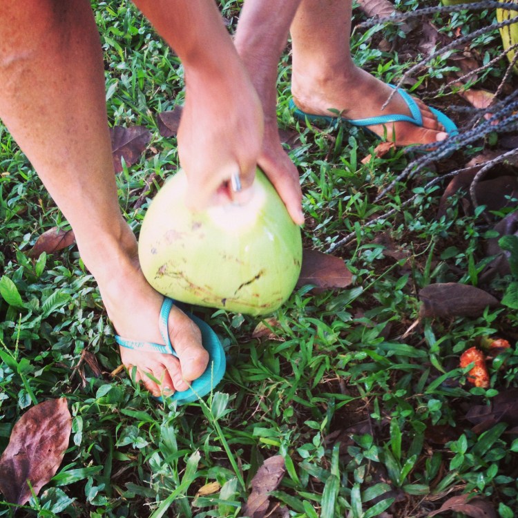 Michaelle cracking open a fresh coconut for me post-class.