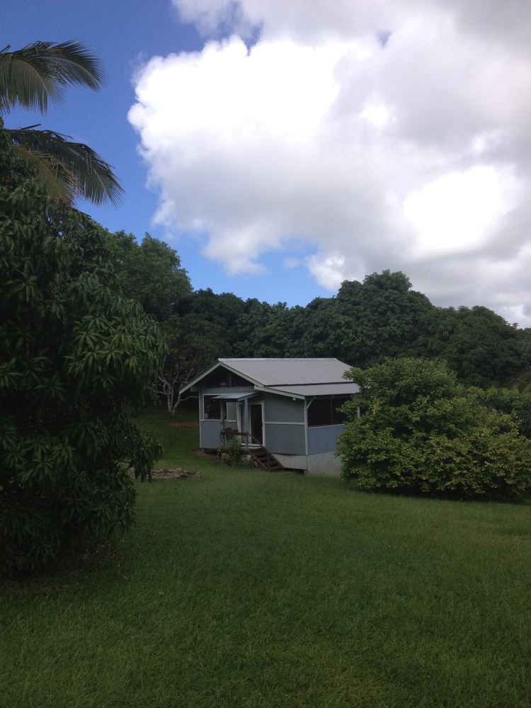 The view of the studio from above, nestled in the green hills.