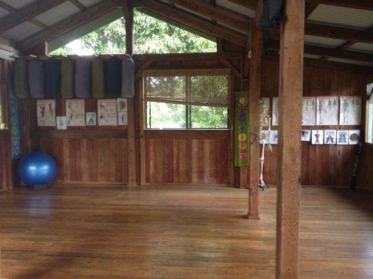 The studio where we practiced daily. Michaelle hosts regular retreats and training on her property: Manayoga.com