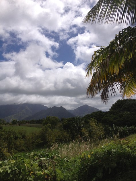 The view from Michaelle's property in the hills of Kauai just outside Hanalei.