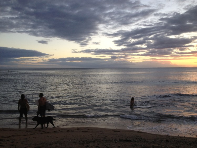 Closing out the day with a perfect sunset moments before the 'bull incident'.