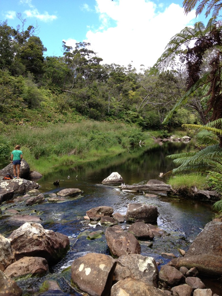 Quick swim in the river after a nice hot hike in Kokee.